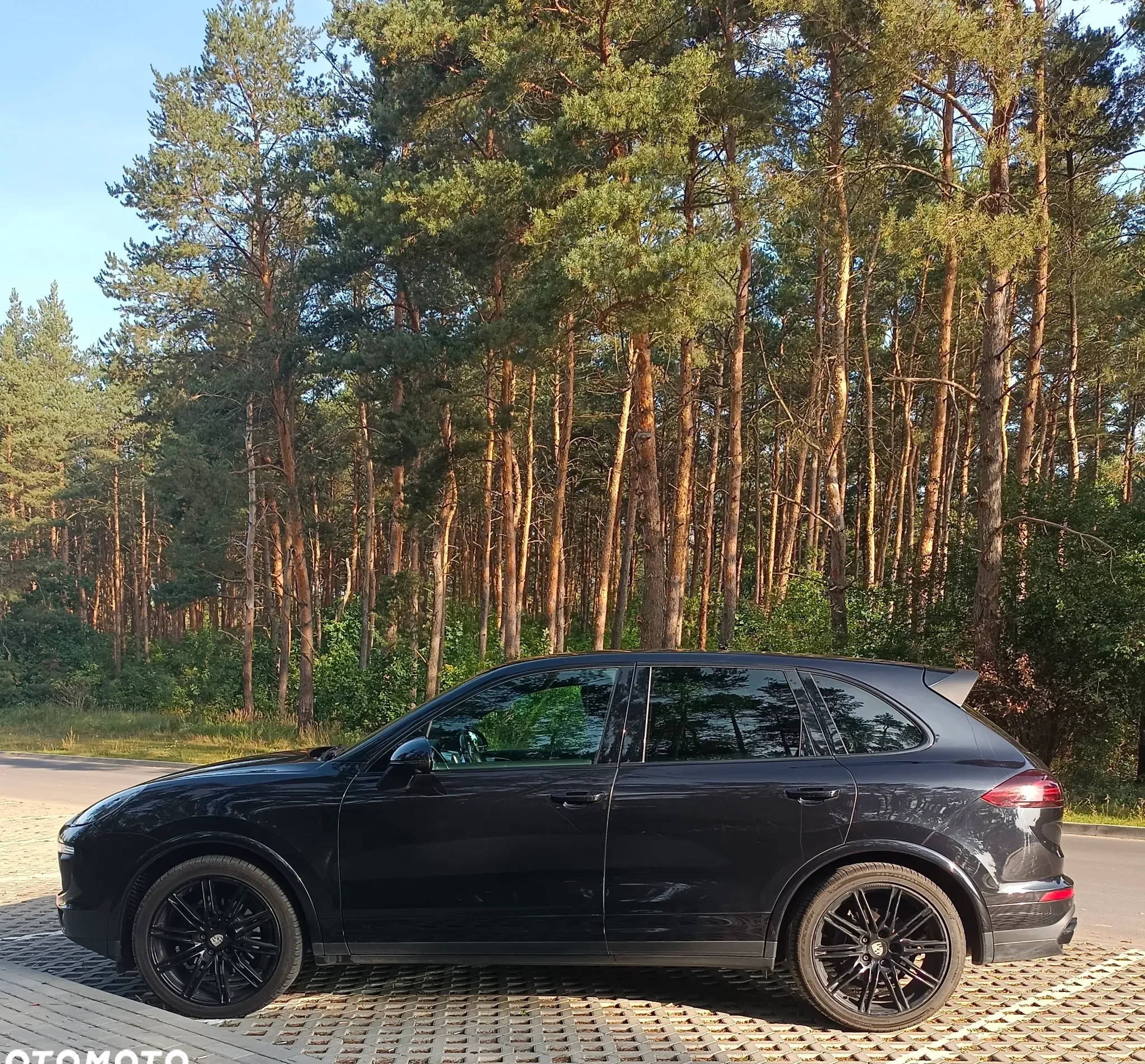 Porsche Cayenne cena 190000 przebieg: 58655, rok produkcji 2017 z Piotrków Kujawski małe 352